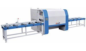 Multi rip saw